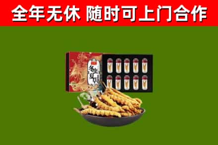 黄冈回收冬虫夏草价格